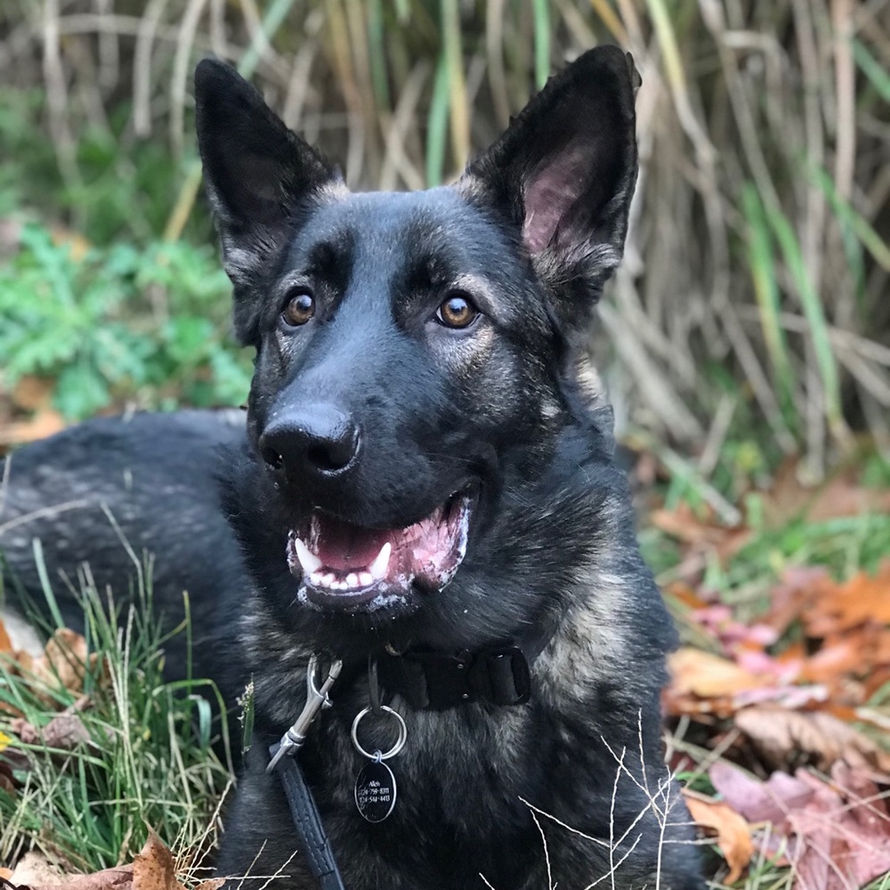 Meet your Posher, Michael